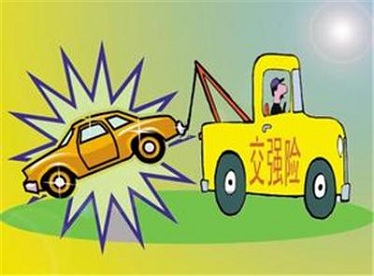 关于对未投保交强险的机动车之间发生交通事故应如何承担责任的法律问题