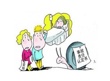 交通事故责任划分及赔偿比例